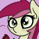 ewoudcponies avatar