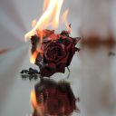 exceedinglysane avatar