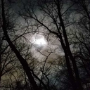 excellentdayforanexorcism avatar