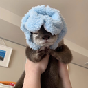 excelsior-outlaws avatar