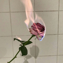 excepti0nal-case avatar