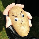 exceptionalpotato avatar