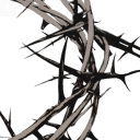 excessdeliquesce avatar