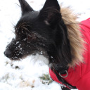 excessive-evidence avatar