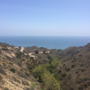 excitatious-things avatar