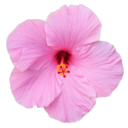 exclusivebabe avatar