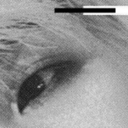 exclusivexdreams avatar