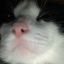 exclusivezest avatar