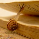 exhaled-spirals avatar