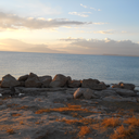 exiledinhtown avatar