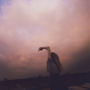 existanceisbliss-blog avatar