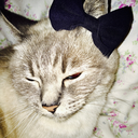 existencial-coop-doop avatar