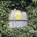 existentialdewdrop avatar