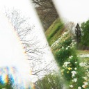 existiendo-en-letras avatar