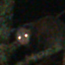 exophreak avatar