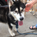 exotic-butters avatar