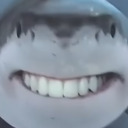 exotic-butters599 avatar