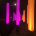 exotic-f-l-o-w-e-r avatar