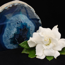 exotictreasuresjewelry1 avatar