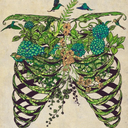 expandinglungs avatar