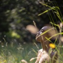 expansivefreedom avatar