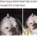 expectopatrobutt avatar