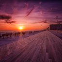 expendablemudge avatar