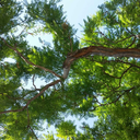 expensive-11-blog avatar