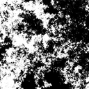 expensivepills avatar