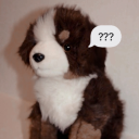 expiredfishpizza avatar