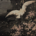 explainredsky avatar