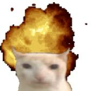 explodingsillycat avatar