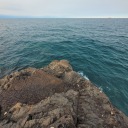 exploratoryvessels avatar