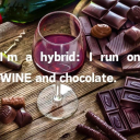 explore4adventures avatar