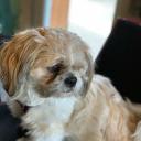 explorinqmyself avatar