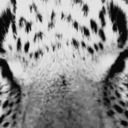 explosionstars-blog avatar