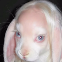 exposed-nerve avatar