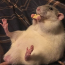 express-depress avatar