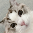 expressdriiive avatar