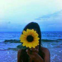 expressou-blog avatar