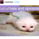 exquisite-sugar-corpse avatar