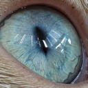 exquisiteelixir avatar