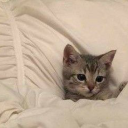 exquisiteoxygen avatar