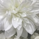 exquisteroyalangelmood avatar