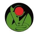 extrakerestrial avatar