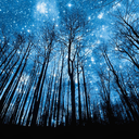 extraordinary-worlds avatar