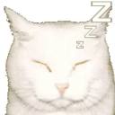 extraordinarybirdd avatar