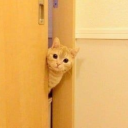 extreamlysilly avatar