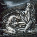 exuberantwitness avatar