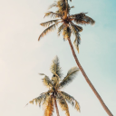 eye-candyyyyyy avatar